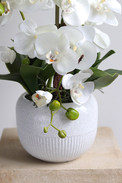 Bielleni, stylowy storczyk w doniczce ze wzorem, wys.55cm