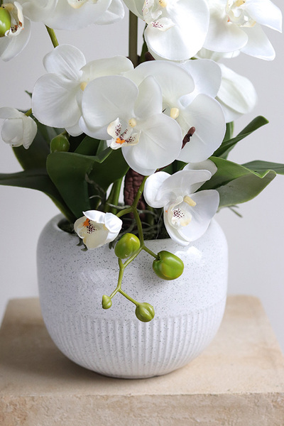 Bielleni, stylowy storczyk w doniczce ze wzorem