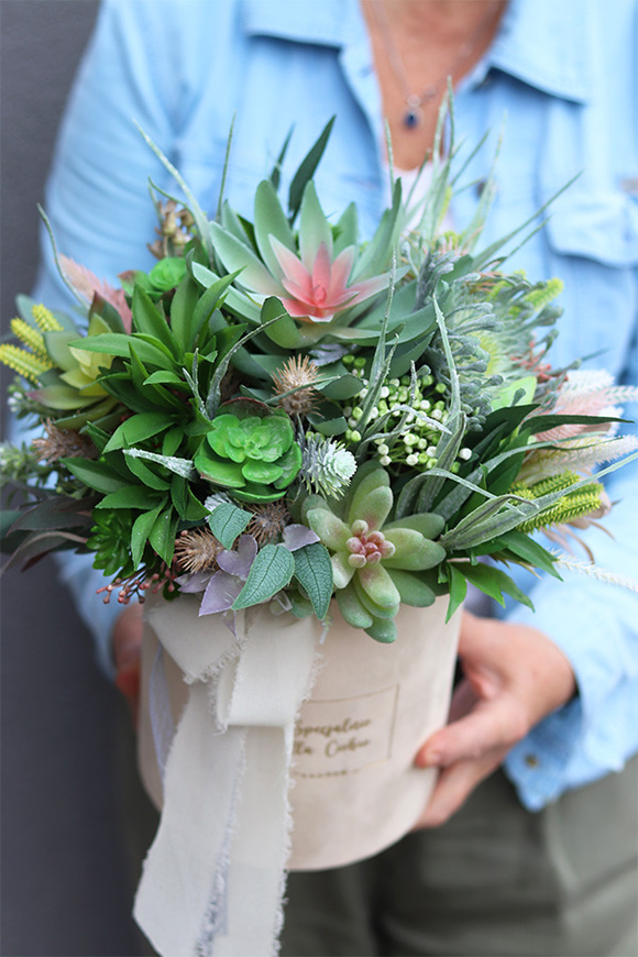 kremowy welurowy flowerbox z sukulentami, Zielona Przystań