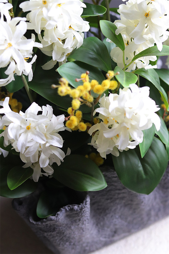 Volcan Hiacynto, kompozycja nagrobna w misie