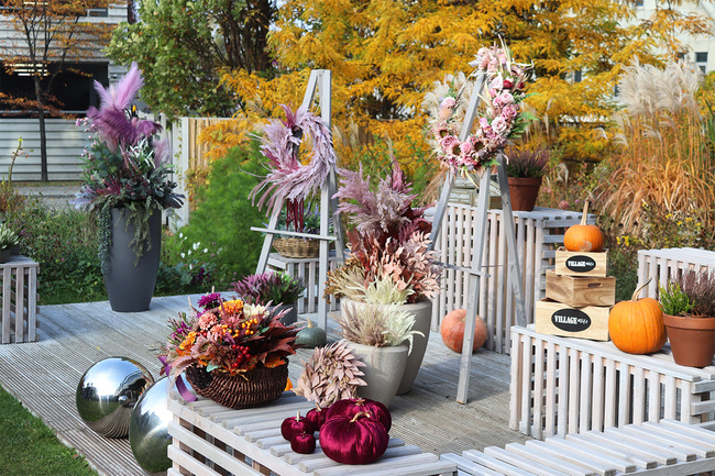 Wrzosowisko Creme, wrzosy w ceramicznej donicy