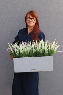 Wrzosy Lechuza, kompozycja kwiatowa w wysokiej jakości donicy - skrzynce, wym.60x40x40cm 