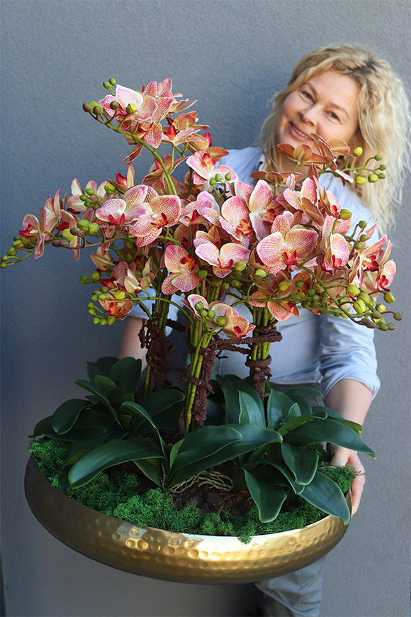 Castellamare Granada Deluxe Gold, gumowy storczyk