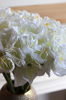 White Bonfire, bukiet amarylisów w złotym wazonie