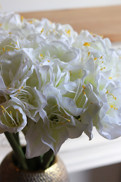 White Bonfire, bukiet amarylisów w złotym wazonie