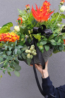 Nefretti Volcan, kompozycja nagrobna w betonowej misie, wym.52x90x65cm