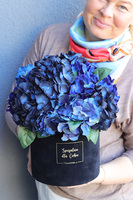 Navy Hydrangea, flowerbox niebieskie hortensje