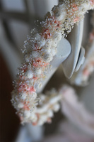 Erato, wianek na głowę z roślin stabilizowanych, rozmiar uniwersalny