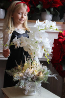 Frozen Orchid, elegancki storczyk zimowy w pucharze