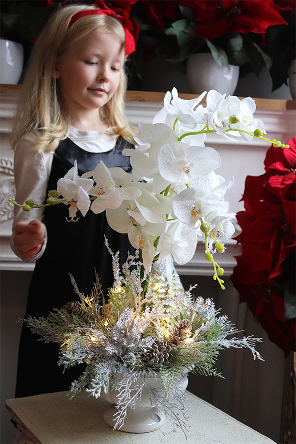 Frozen Orchid, elegancki storczyk zimowy w pucharze