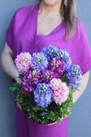 Hiacynty Piano 2, wiosenna dekoracja w misie