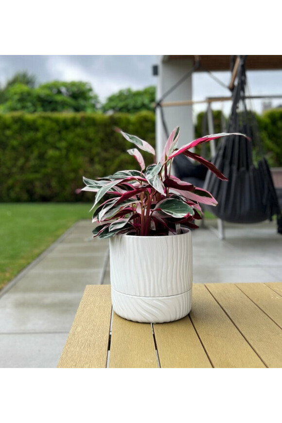 Vintage Rumina ceramiczna doniczka z podstawką