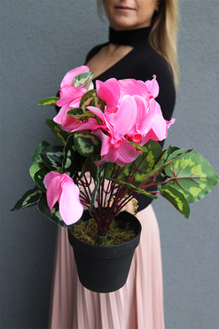 Cyklamen sztuczny w doniczce, różowy, wys.35cm