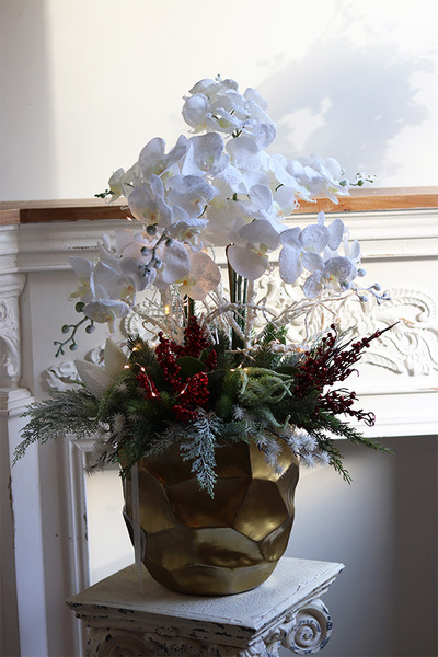 Zimowa Kraina Deluxe, elegancki storczyk zimowy