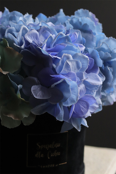 Blueta Mojito, flowerbox niebieskie hortensje