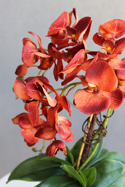 miedziany storczyk w złotej donicy, Mallona Red, wys.53cm