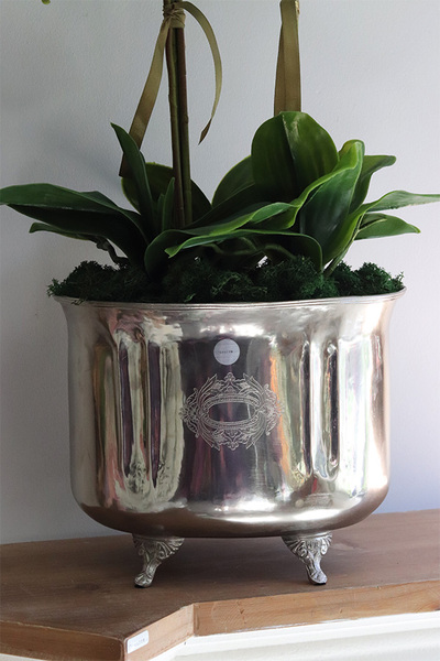 Blue Redi Cooler, turkusowy sztuczny storczyk w coolerze