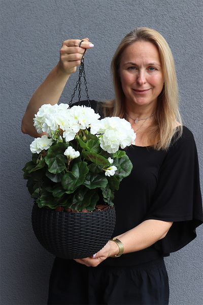 Pelargonia White, kompozycja pelargonie w wiszącej donicy