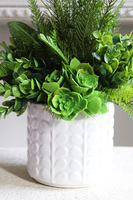 Jerudo A, kompozycja sukulenty w białej donicy, wys.27cm