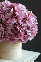 Pivonia, flowerbox z różowymi peoniami