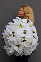 Gwiazda Betlejemska Green Pot, wysokiej jakości sztuczna roślina