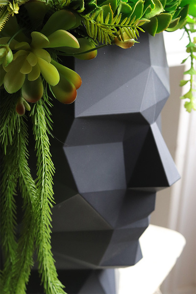 Adonis Head, nowoczesna dekoracja zielona w głowie