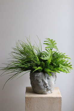 Suculenti Head, efektowna kompozycja sukulenty w głowie, wys.44cm