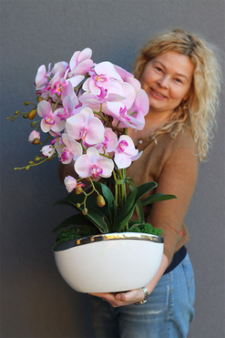 Pink Gelia, różowy storczyk glamour, wys.57cm 