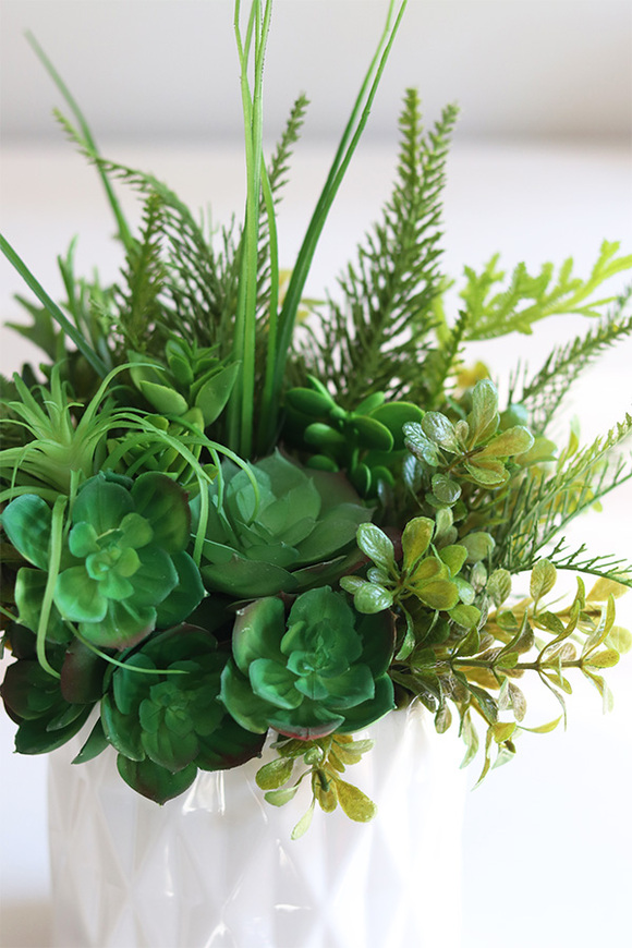 Forenia B, zielona kompozycja z sukulentami, wym.30cm