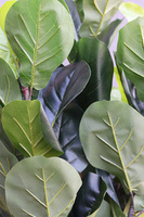 Fikus Dębolistny, sztuczna roślina w doniczce