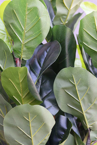 Fikus Dębolistny, sztuczna roślina w doniczce