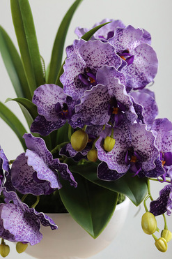 OD RĘKI Violet Fantasy, fioletowy sztuczny storczyk w pucharze, wys.46cm