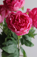 Real Peony, bukiet realistycznych peonii