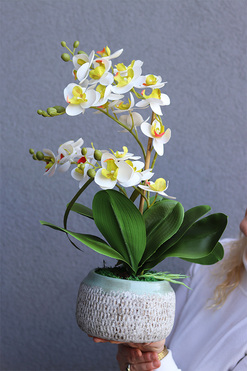 OD RĘKI Nerana, gumowy storczyk w etno donicy, wys.48cm  