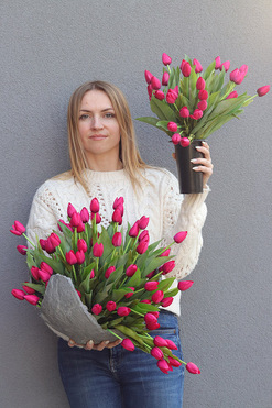 Volcan Magenta Tulips 2, kompozycja nagrobna w misie, wym.44x57cm 