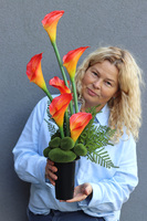 New Design Orange, komplet dekoracji nagrobnych