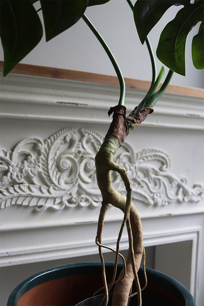 Drzewko Monstera, sztuczne drzewo w doniczce