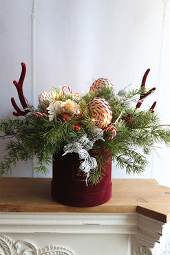 Rudolf Lollypop, flowerbox świąteczny LED z rogami, wym.44x50cm