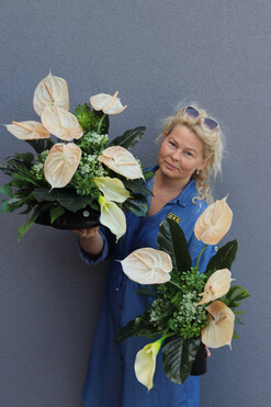 Anturium Cappucino, komplet dekoracji nagrobnych, kompozycja + bukiet