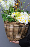 Wiosenne Trele Basket, wiosenna kompozycja roślinna