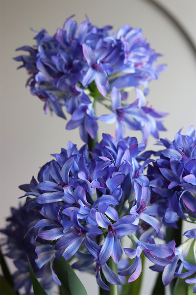 Niebieski Czosnek Ozdobny, sztuczna roślina w plastikowej osłonce