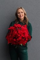 Gwiazda Betlejemska Silverro, wysokiej jakości sztuczna roślina