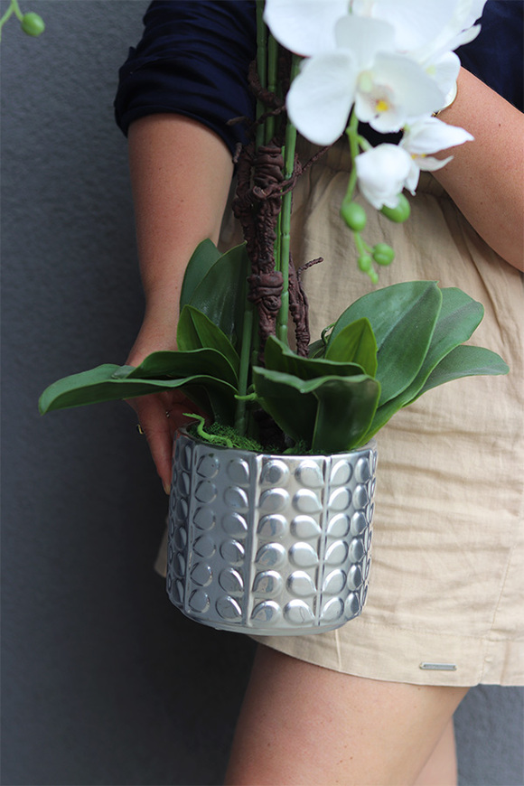 Silver Godania, elegancki sztuczny storczyk