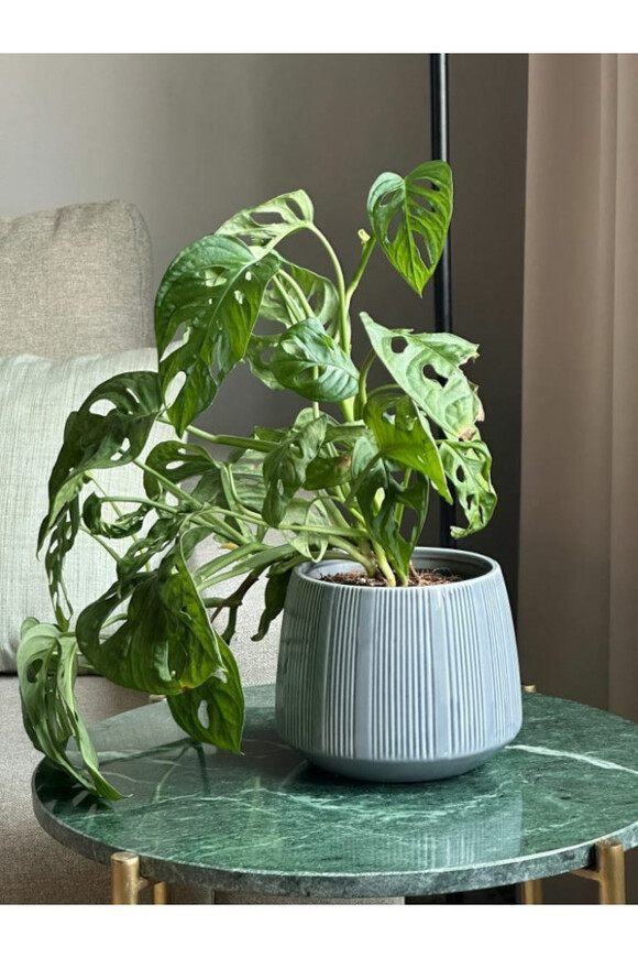 Barcelona Blue, osłonka ceramiczna doniczka