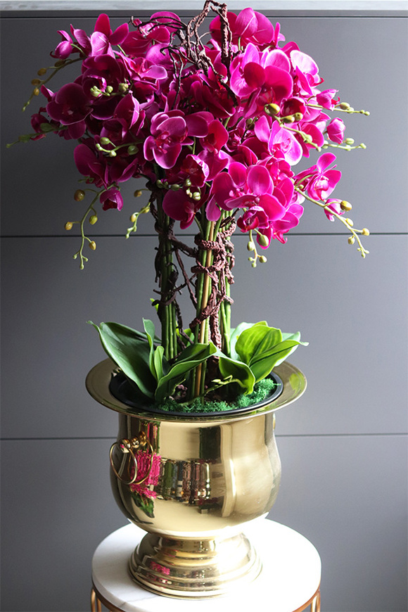 Fuksja Gold Cooler, sztuczny storczyk w złotym coolerze