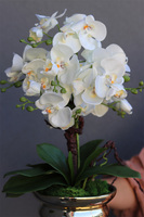 Ylena Gold, sztuczny storczyk w ceramicznym pucharze