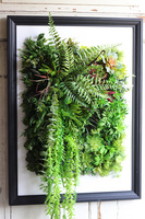 czarna jednostronna rama Lisbon Hotels Sukulenty, wym.77x57cm