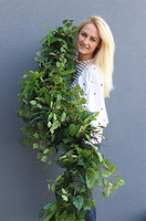 Rezydencja, zielona girlanda z bluszczem, dł.100cm 