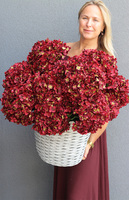 Bordorena, bordowe hortensje w plecionym koszu