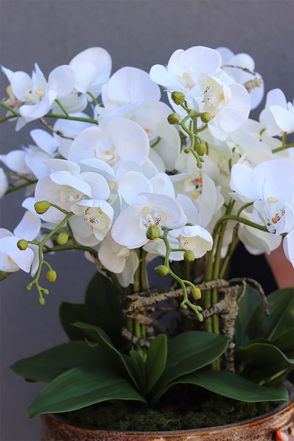 Ceramic House, sztuczny storczyk w ozdobnej misie